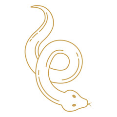 Mystical Celestial Illustration with Seamless Pattern. Isolated Vector