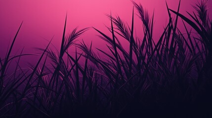 Fototapeta premium Silhouetted grasses against a vibrant pink sunset.