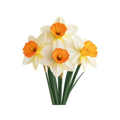 Vibrant Bunch of Spring Daffodils with Orange Cups