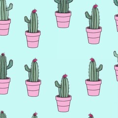Fototapeta premium Medium-Sized Cactus with Ridges