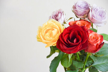 カラフルな薔薇