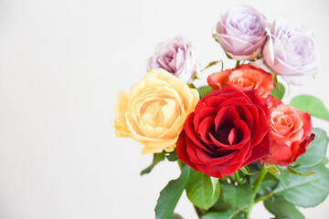 カラフルなばら