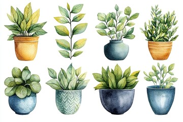 Obraz premium A collection of watercolor potted plants in various styles and colors.
