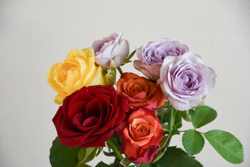 カラフルなばら