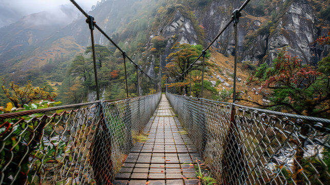 Fototapeta Bridge over a forest with a view of the mountains. The bridge is made of wood and metal