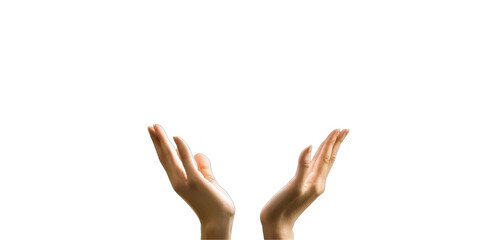Hands reaching upward studio setting transparent background minimalist design
