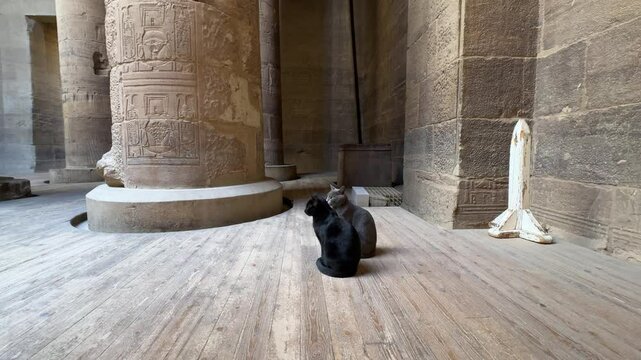 The Philae Temple is located on an island and was built in honor of Isis, goddess of love, in the Aswan Low Dam reservoir, with small boats to go to the temple.