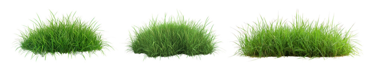 Fototapeta premium PNG Photo of grass bush, element set on transparent background