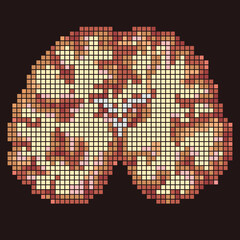 Pixel art image resembling a brain or abstract organ, useful for neuroscience, health, or abstract art.
