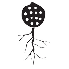 chytridiomycota glyph icon