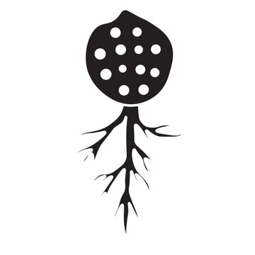 chytridiomycota glyph icon