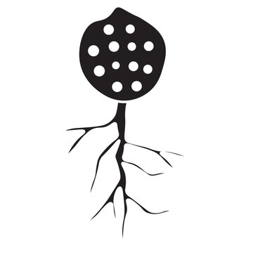 chytridiomycota glyph icon