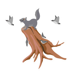 vector drawing squirrel at tree stump and birds of wood nuthatch, animal isolated at white background