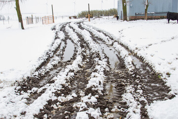 muddy ruts in a cattle yard