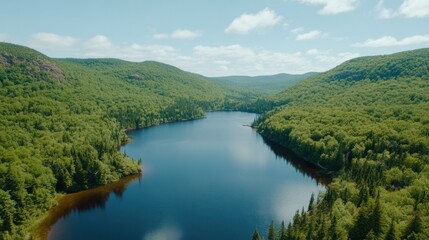 Majestic mountain lake surrounded by dense green forest offers a tranquil oasis under a bright sunny day, inviting exploration and relaxation