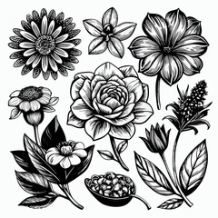 A set of black silhouette illustrations of roses in various stages of bloom, with stems and leaves with white background