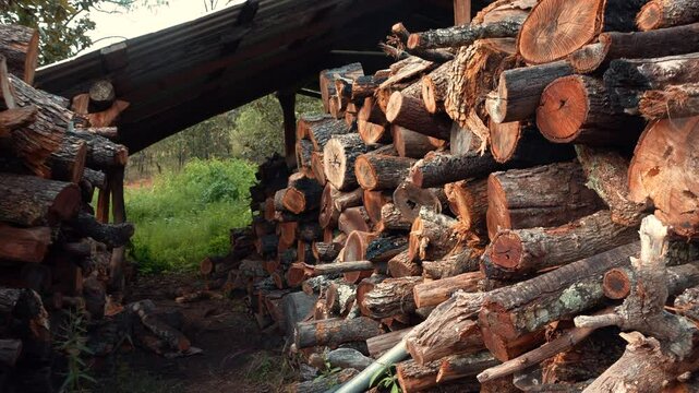 le&ntilde;a apilada en cobertizo de rancho pueblo mexicano troncos cortados en le&ntilde;a para prender fuego concepto de material de madera en el medio ambiente
