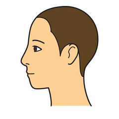 顔　生え際　横顔　左向き　カラー