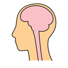 脳　頭頂部　左向き　脳　カラー