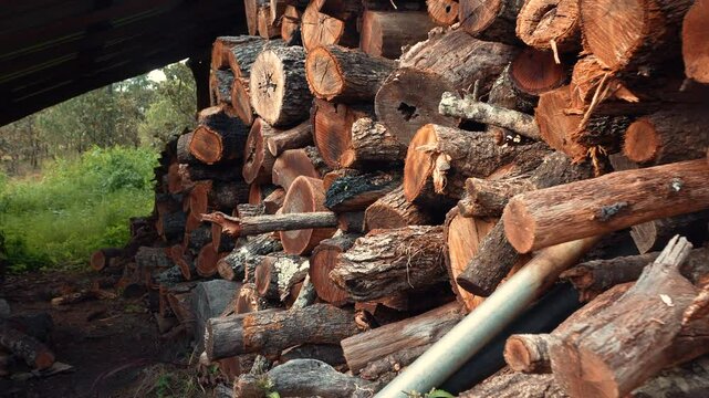 Le&ntilde;a apilada en un jardin de patio trasero en un rancho viejo de un pueblo tipico monton de troncos cortados de un arbol en le&ntilde;a para prender fuego