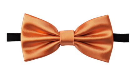 Orange bow tie, isolated on transparent background