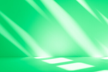 Wall interior background, studio and backdrops show products. with leaf shadow from window color green and white. background for text insertion and presentation of product	
