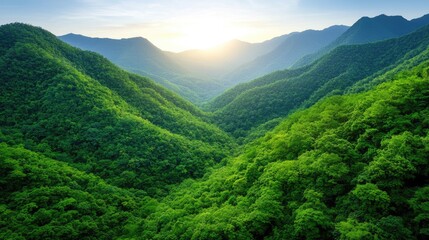 Obraz premium A serene sunrise over lush green mountains, showcasing the beauty of nature and tranquility in a vibrant landscape.