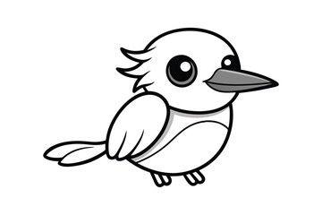 Fototapeta premium kookaburra