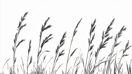 Reeds, etchings, thick line outlines, minimalism, letterpress printing, flat illustration, vintage, black and white, artistic, rich texture details, transparent background