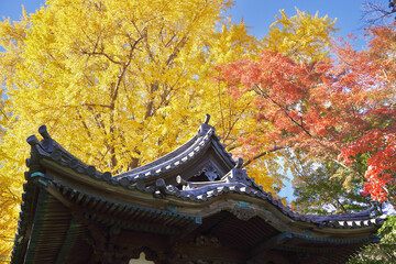 日本の横浜の冬の日本庭園。