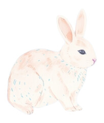 PNG Rabbits animal rodent mammal.