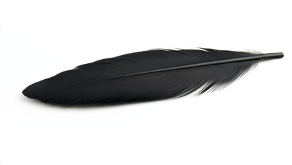 Single black feather isolated on white background. (4)