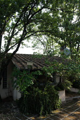 Exterior terrace architecture and design of outdoor patio building in green garden park