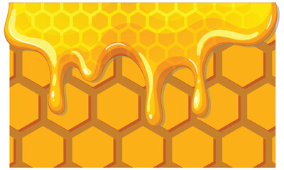 Honeycomb with Dripping Honey Illustration © GraphicsRF