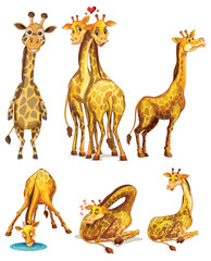 Naklejka premium Playful Giraffes in Various Poses