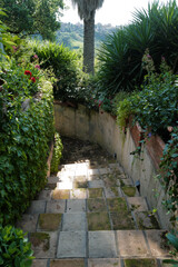 Exterior terrace architecture and design of outdoor patio building in green garden park