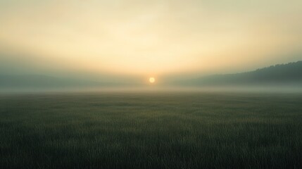 Early morning fog rolling through a vast meadow nature scene tranquil environment serene viewpoint