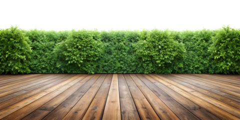 green grass and wooden wall