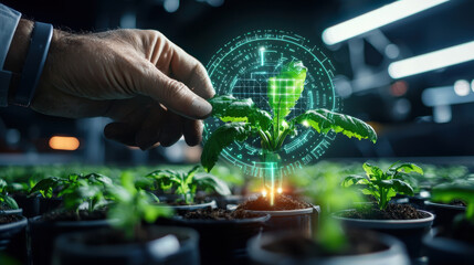 Innovative technology in agriculture with hand nurturing plant, showcasing digital interface for growth monitoring. This high tech farming method enhances crop management and sustainability