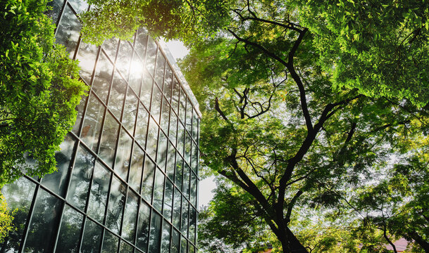 Modern glass office building with big trees around to reduce heat and carbon dioxide. Eco-friendly building and CO2 reduction corporate building. Sustainability concept