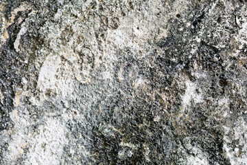 Grunge Texture Background Dirty Concrete