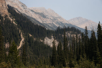 Mountains and coniferous forests in the Canadian Rockies. BC, Canada.
