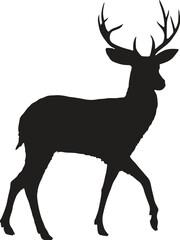 Silhouette of a Deer Standing