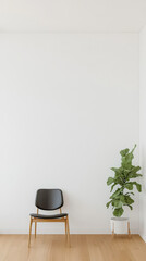 Minimalist interior design featuring a black chair and a potted plant in a bright room
