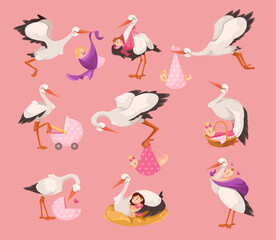 Stork Carry Baby in Wrap with Beak Vector Set