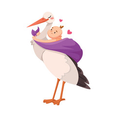 Stork Carry Baby in Wrap with Beak Vector Illustration