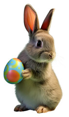 Obraz premium PNG A little baby bunny holding an Easter egg in its tiny paws animal rodent mammal.