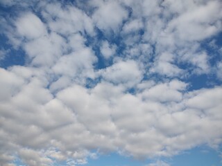 東京のそら(25.1.16)