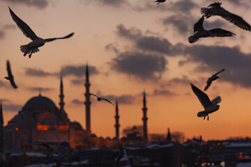 Istanbul Bosphorus Coast in the Sunset Time Photo, Cengelkoy Uskudar, Istanbul Turkiye (Turkey)