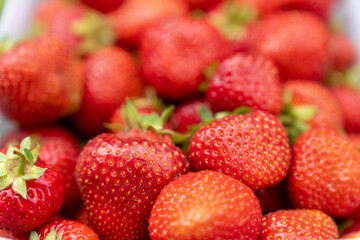 Red Berries of Ripe Strawberries Closeup on Sunny Day. Fresh Fruit Background Concept